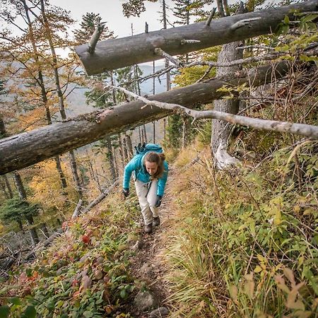 Hotel Schwarzwaldhof Enzklösterle Kültér fotó
