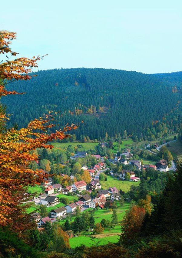 Hotel Schwarzwaldhof Enzklösterle Kültér fotó