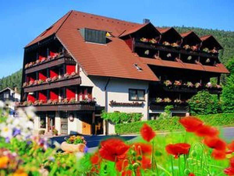 Hotel Schwarzwaldhof Enzklösterle Kültér fotó