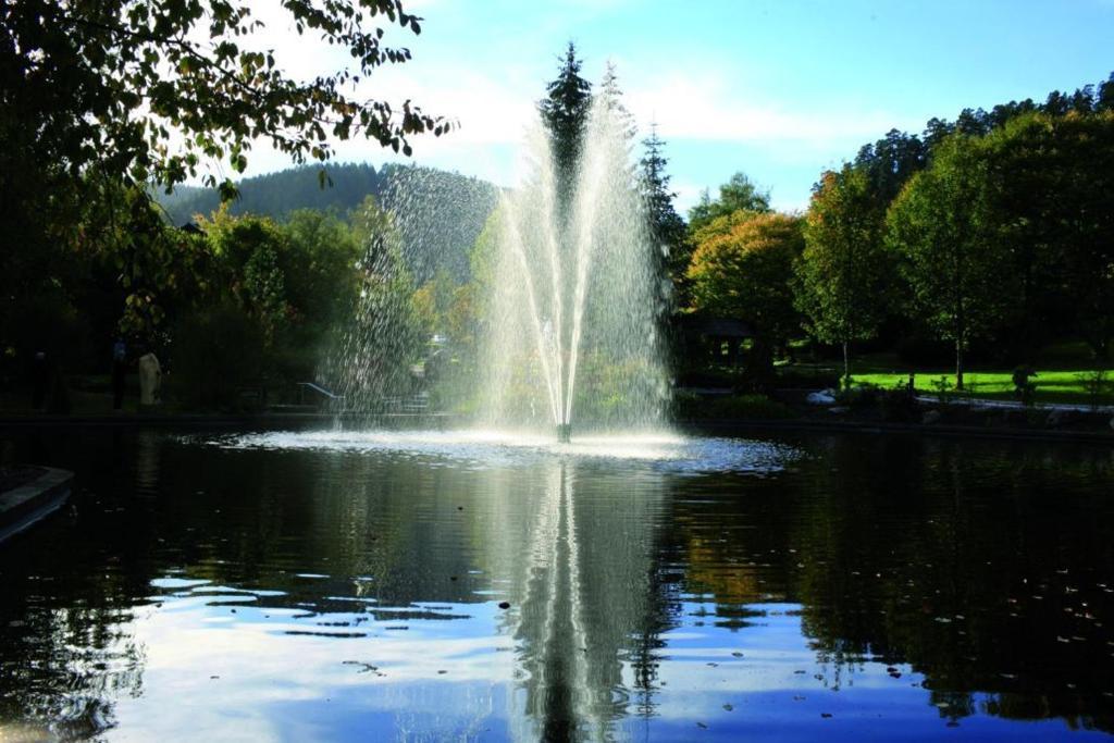 Hotel Schwarzwaldhof Enzklösterle Kültér fotó