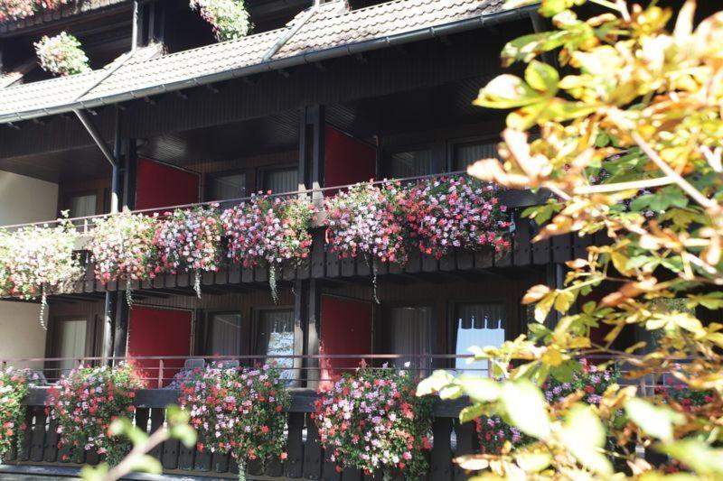 Hotel Schwarzwaldhof Enzklösterle Kültér fotó
