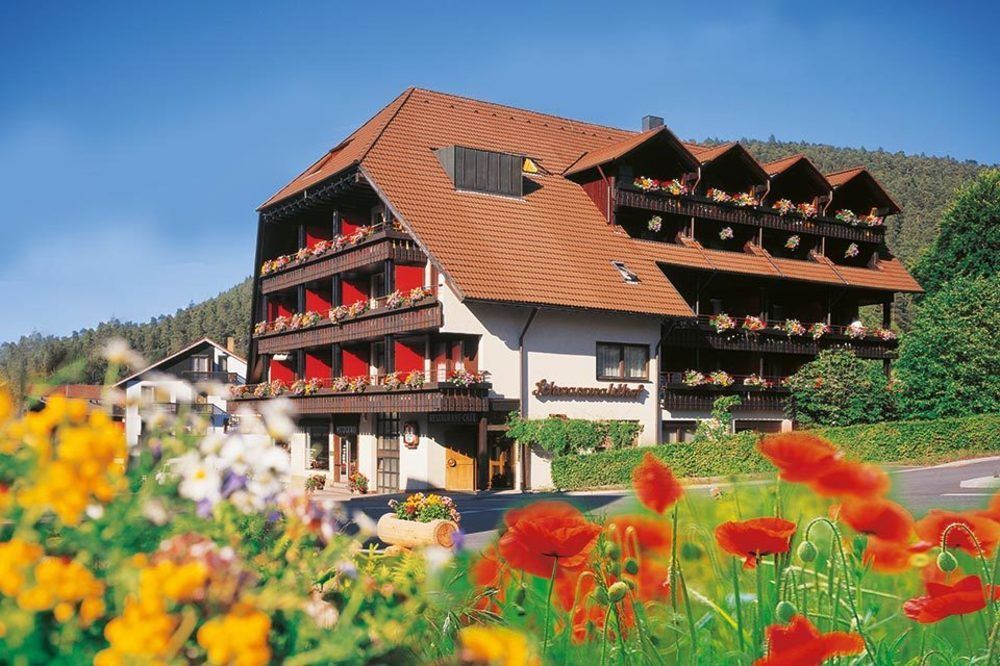Hotel Schwarzwaldhof Enzklösterle Kültér fotó