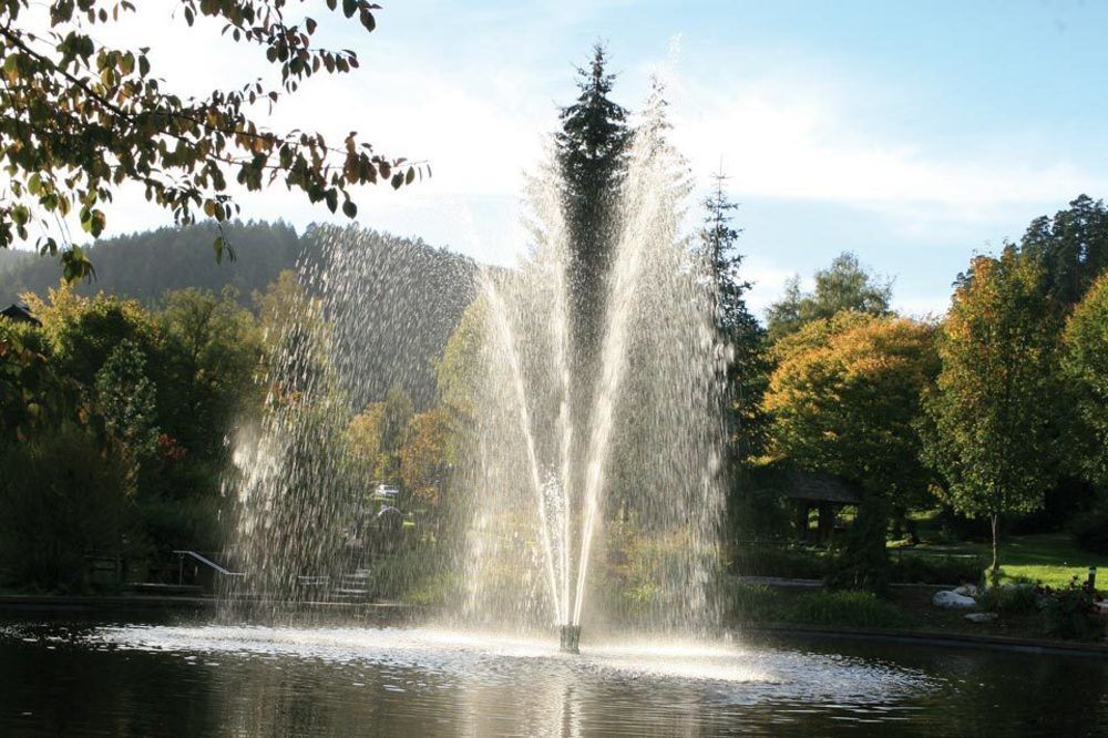 Hotel Schwarzwaldhof Enzklösterle Kültér fotó