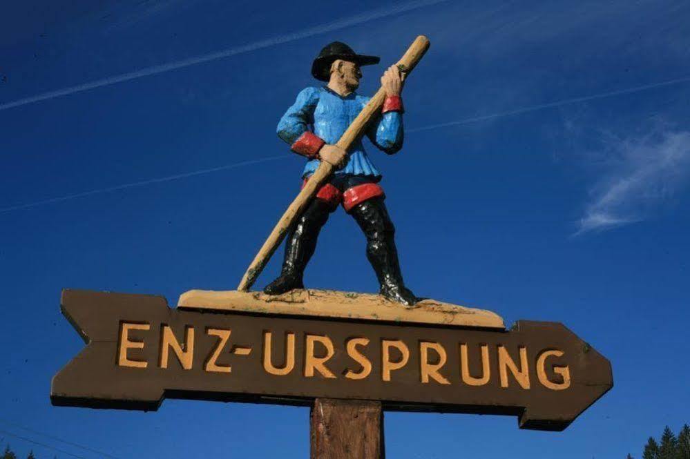 Hotel Schwarzwaldhof Enzklösterle Kültér fotó